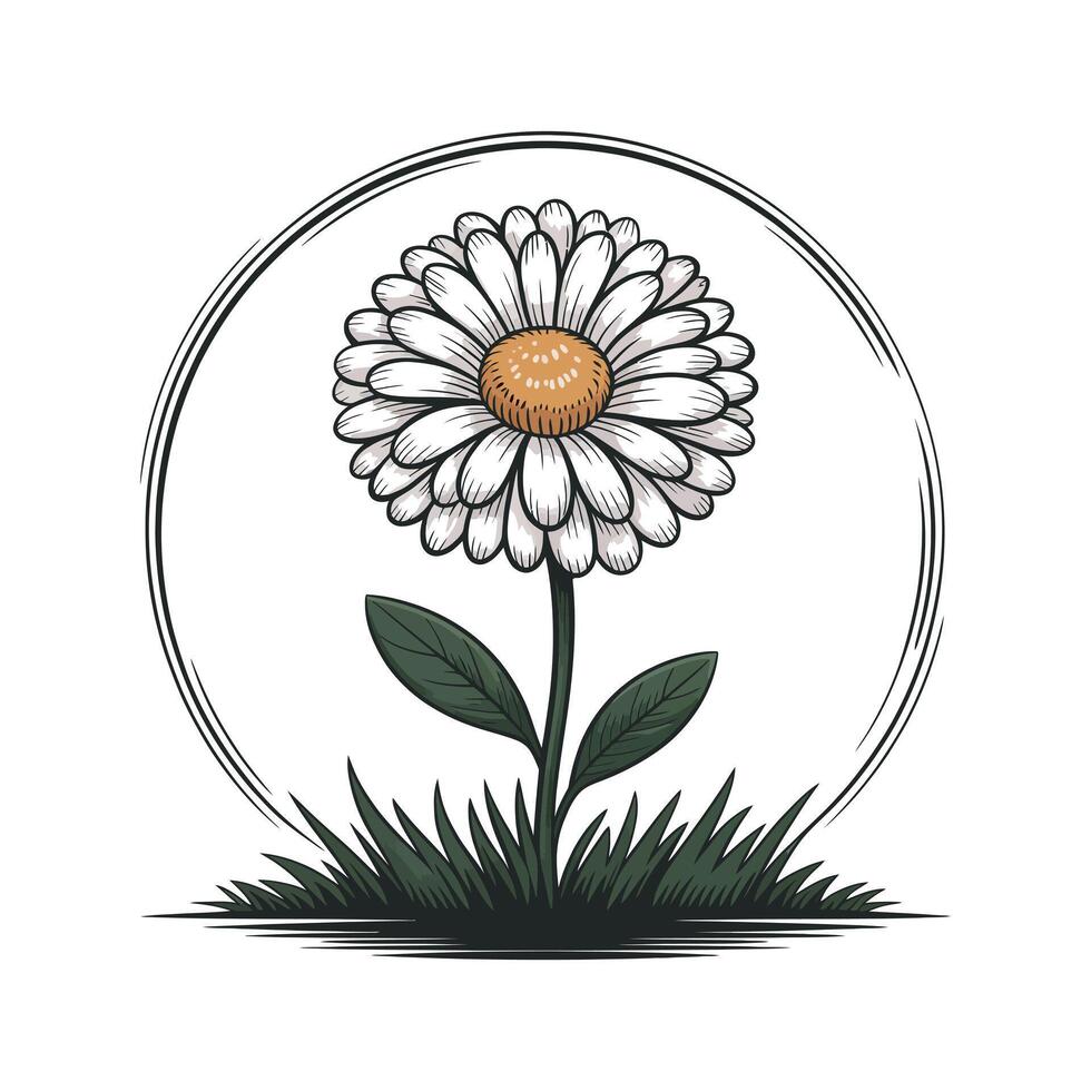 Elegant Illustration of a White Daisy in a Circular Frame with Grass stylized graphic white daisy dark orange center surrounded circular frame and vector