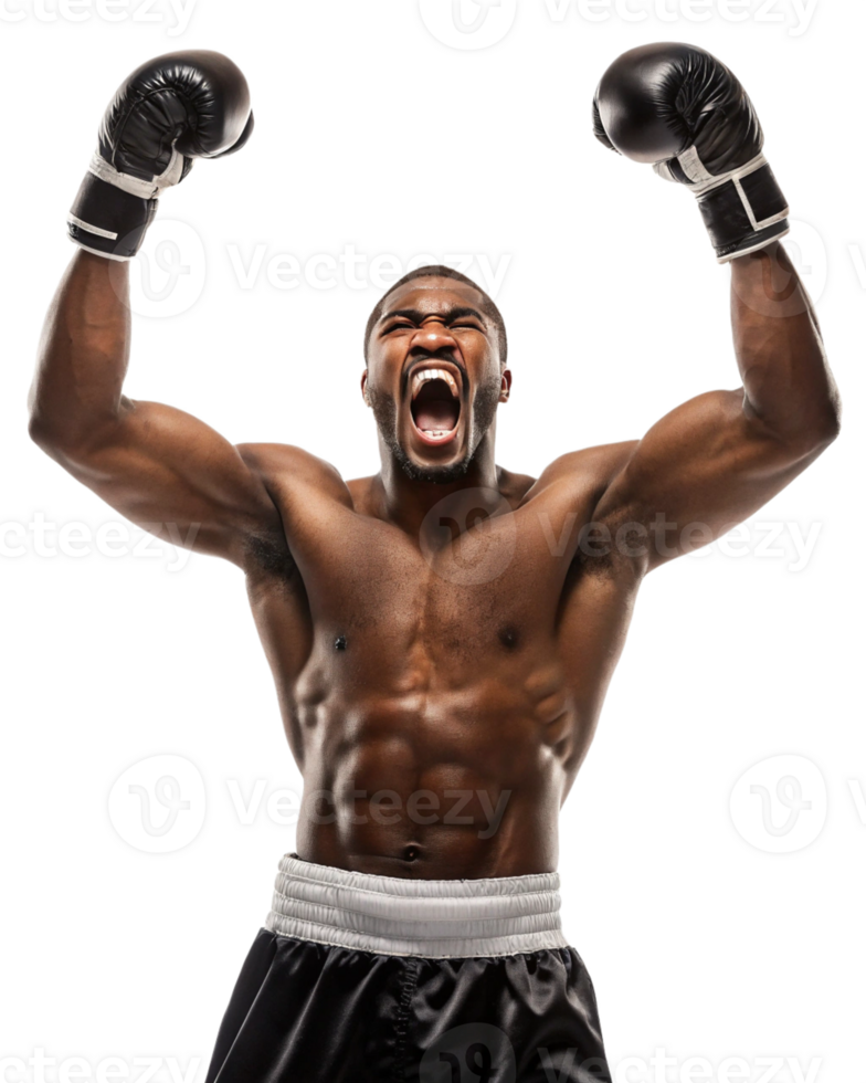 Victorious boxer celebrating triumphantly with raised arms. png