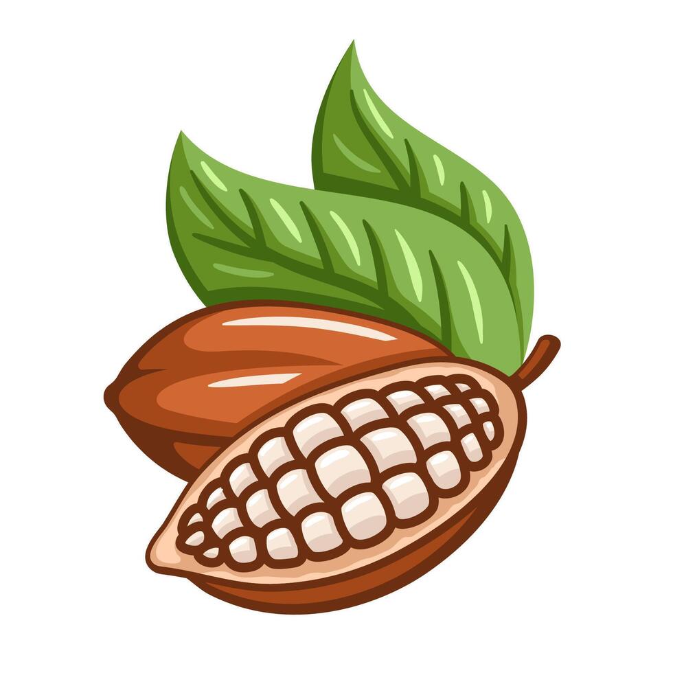 Cocoa beans isolated on white background. Logo template. Cacao beans. Design elements vector