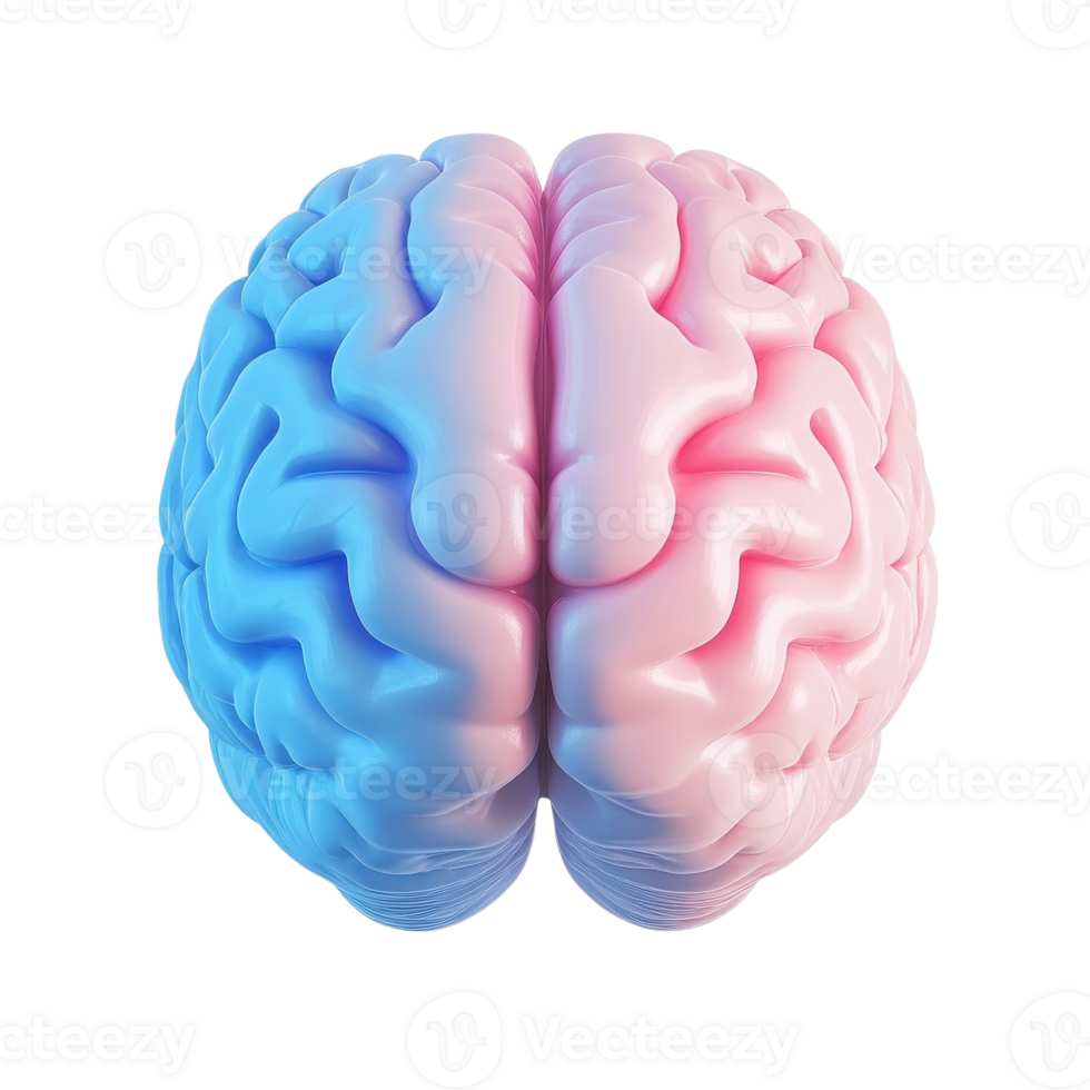 Brain hemispheres render on transparent background png