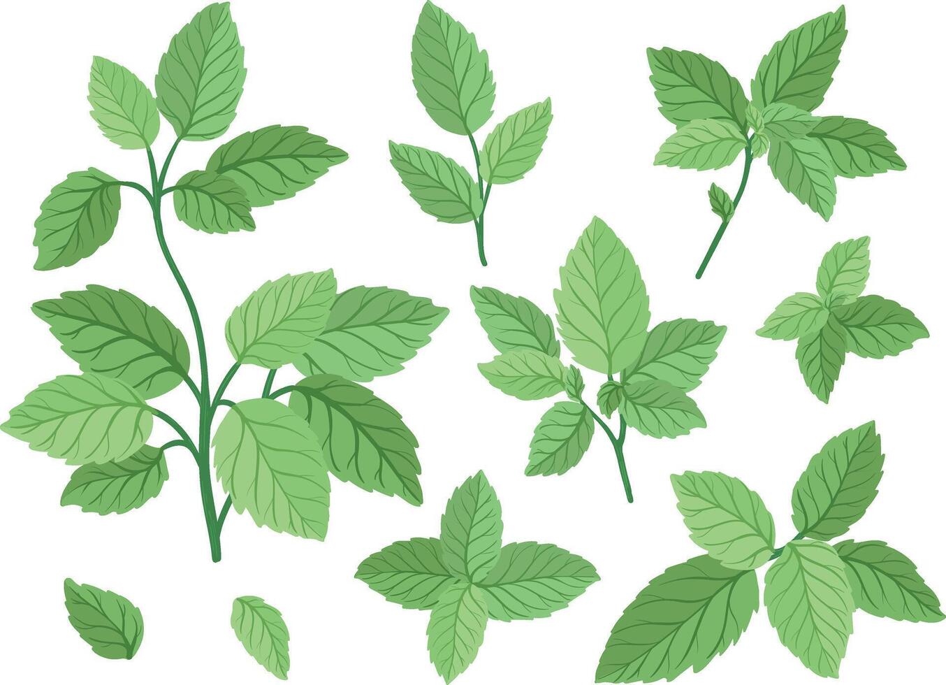 green leaf illustrations collection vector