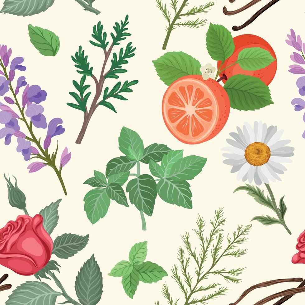 Colorful floral and herb design vector