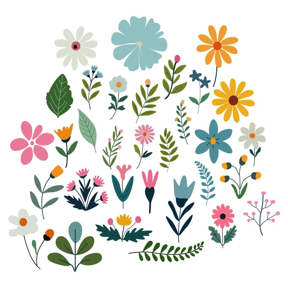 Colorful flowers and leafy designs vector