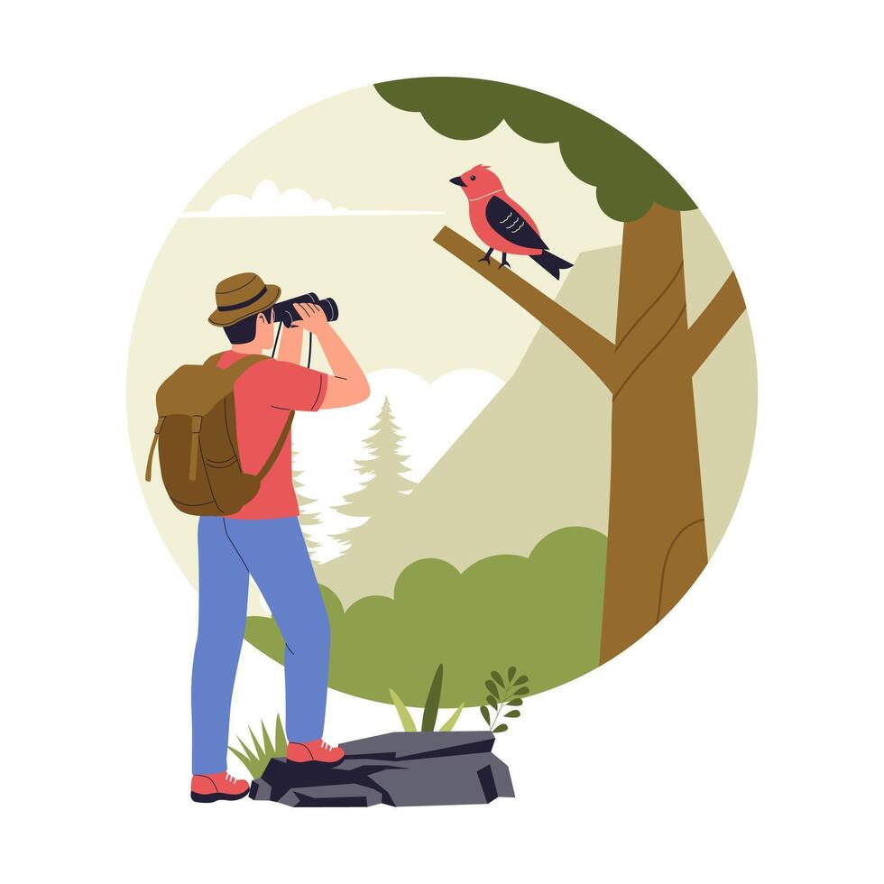 Illustration of Birdwatching in the Forest vector