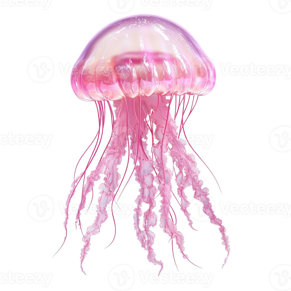 Isolated pink jellyfish on transparent background png