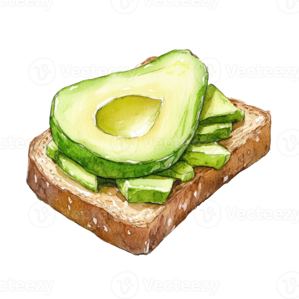 Avocado toast watercolor on transparent background. png