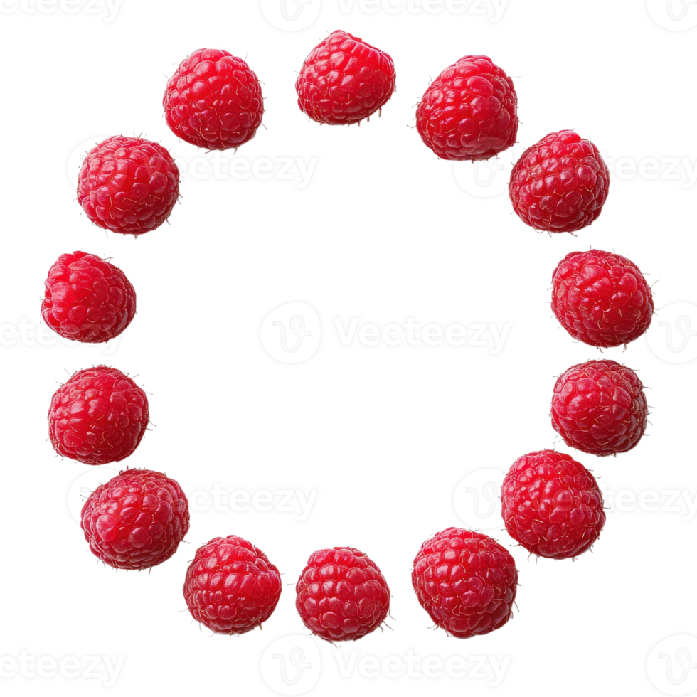 Raspberries in a circle on transparent background. png