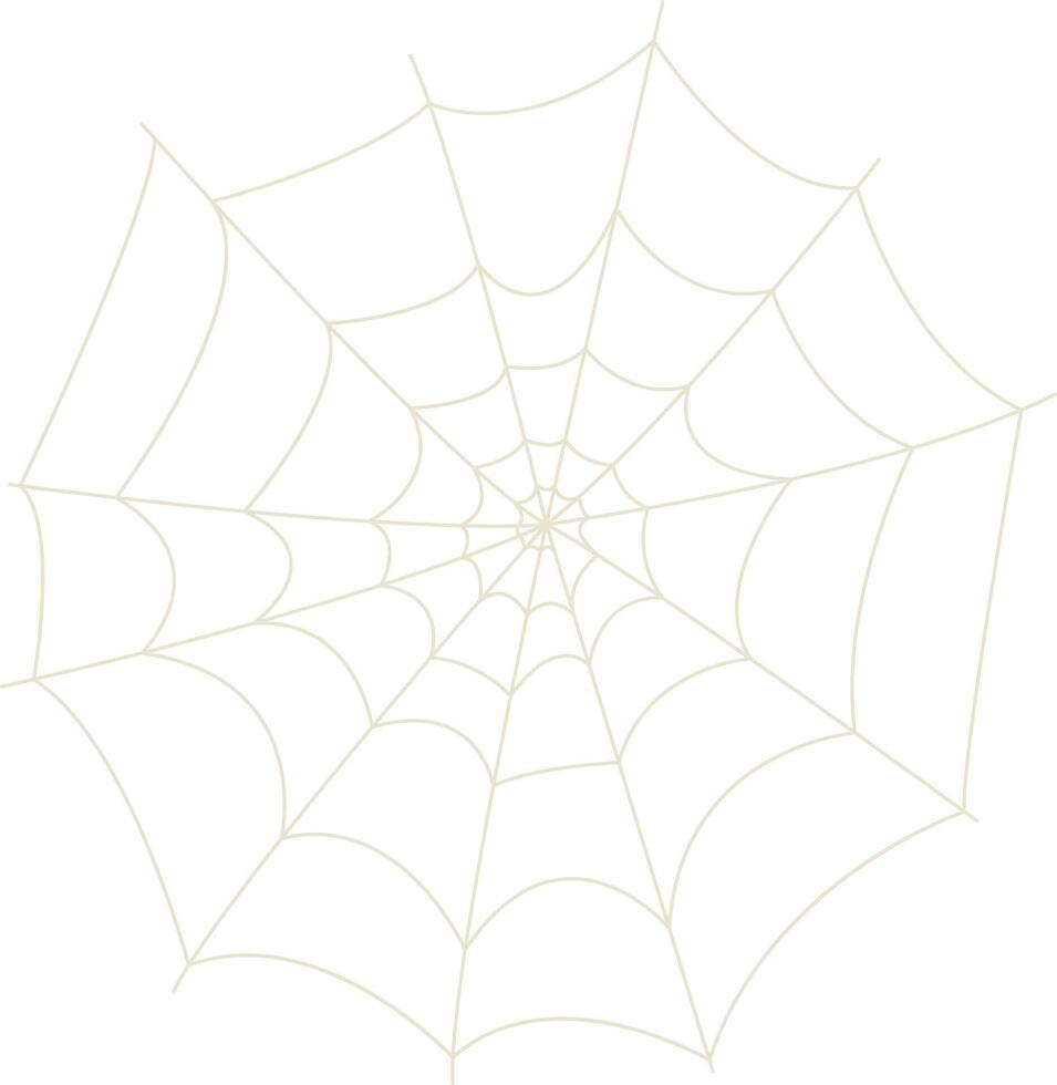 Spider Net Decoration with Simple Design. vector