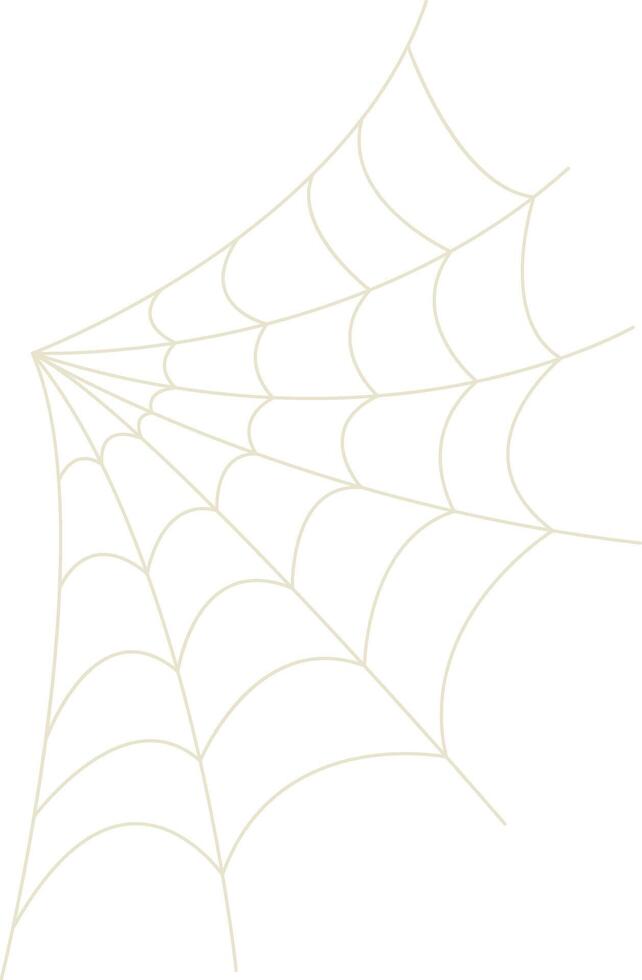 Spider Net Decoration in Flat Design, Isolated on White Background. vector