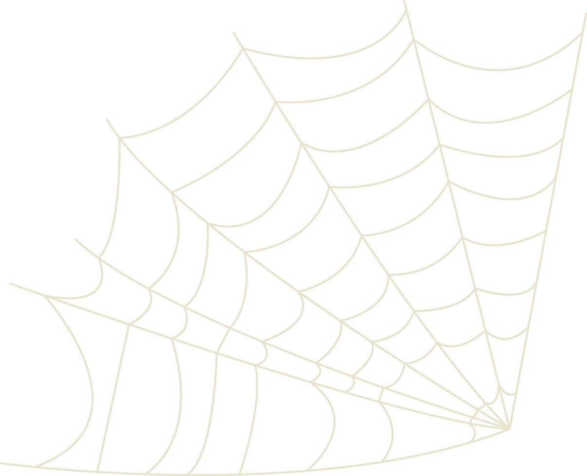 Spider Net Decoration in Simple Shape vector
