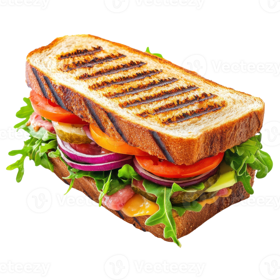 Grilled sandwich close up on transparent background png