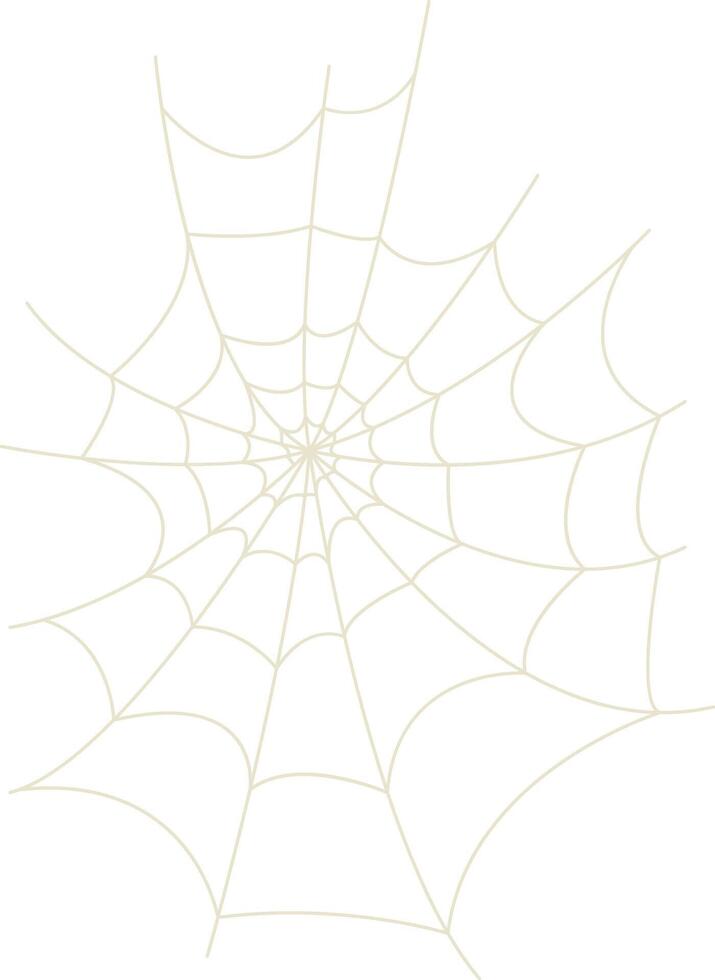 Spider Net Decoration in Flat Design. vector