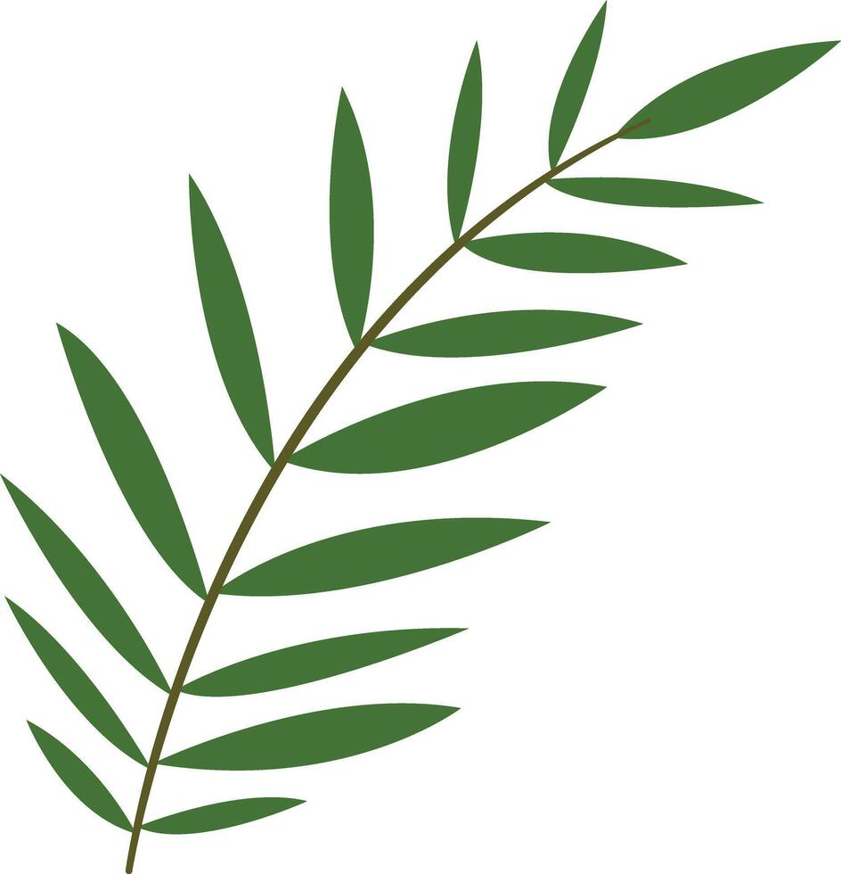 Green Tropical Leaves Illustration with Cartoon Design vector
