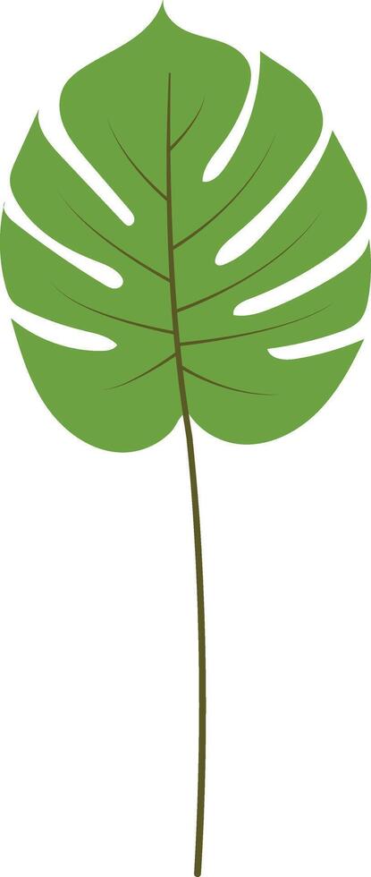 Green Tropical Leaves Illustration with Cartoon Design, Isolated on White Background vector