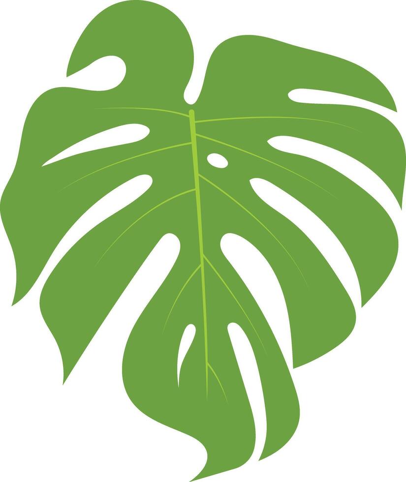 Green Tropical Leaves Illustration in Cartoon Design. Isolated on White Background. vector