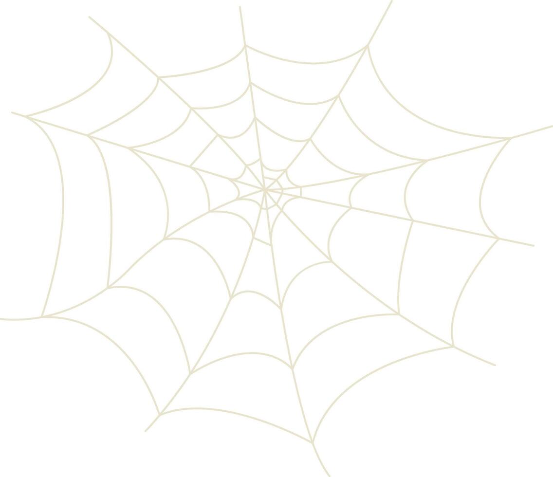 Spider Net Decoration with Flat Design vector