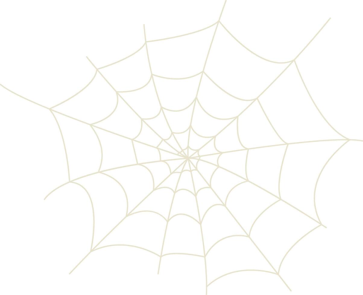 Spider Net Decoration vector