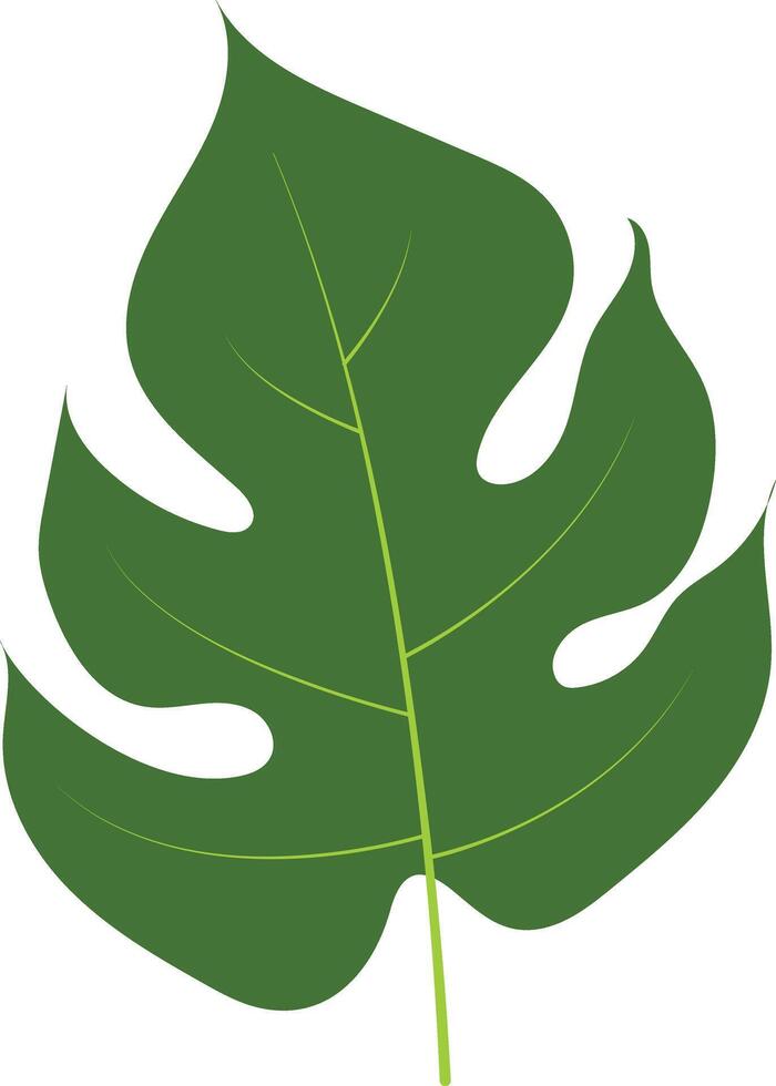 Green Tropical Leaves Illustration on White Background. vector