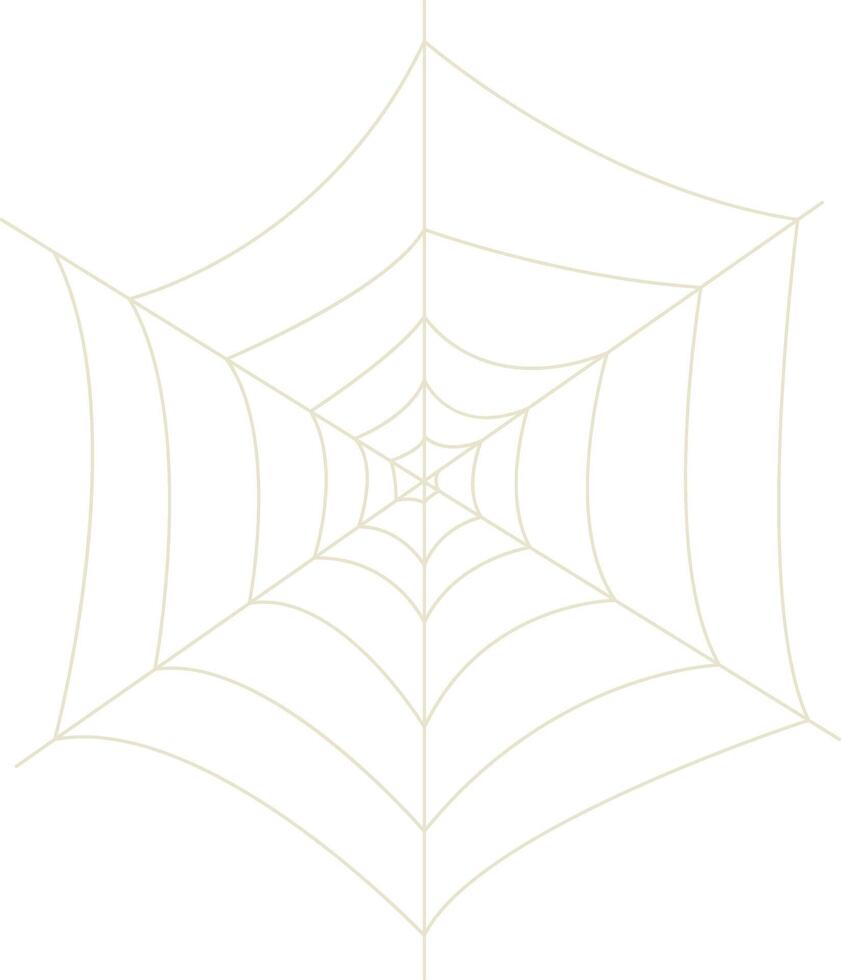 Spider Net Decoration in Flat Design vector