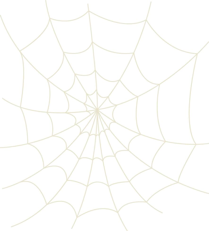 Spider Net Decoration with Flat Design. Isolated on White Background vector