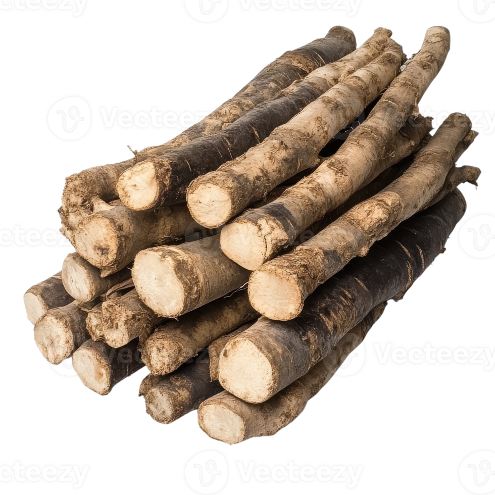 Pile of burdock roots on transparent background. png