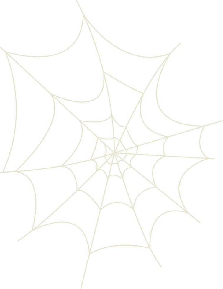 Spider Net Decoration. vector