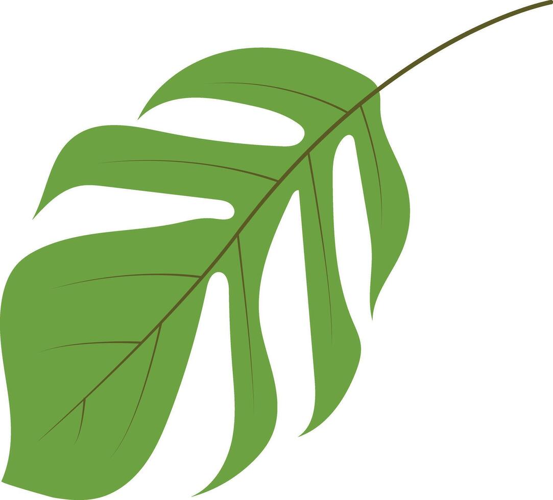 Green Tropical Leaves Illustration in Cartoon Design vector