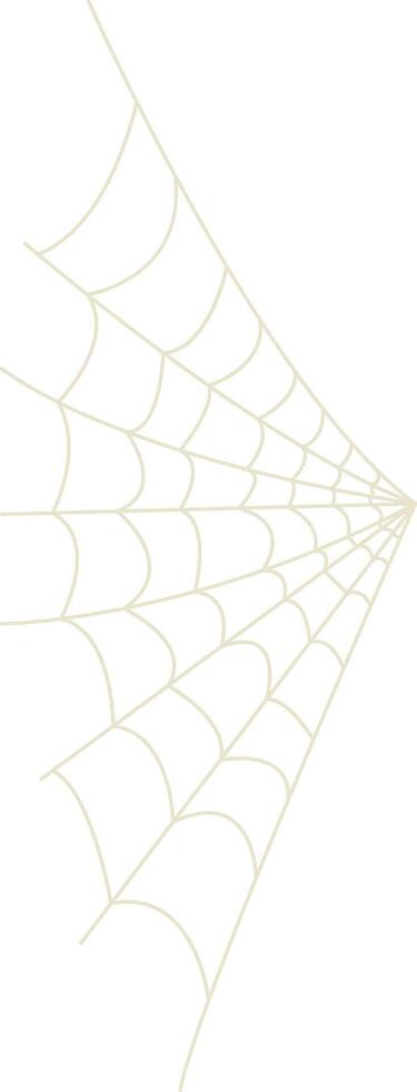 Spider Net Decoration in Flat Design. Isolated on White Background vector