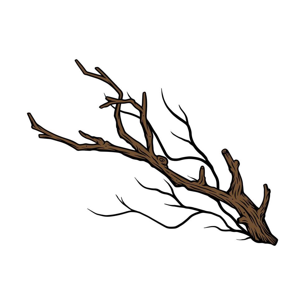 Hand drawn branch trees illustrations vector