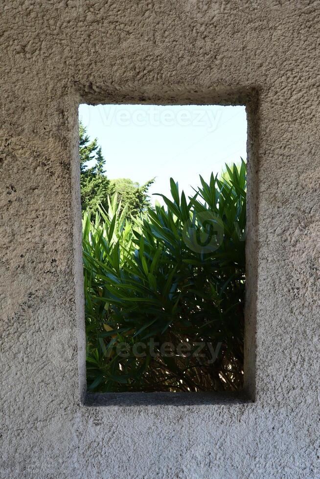 A view of vibrant green shrubs and tall trees framed by a rectangular window in a textured stone wall, capturing a peaceful moment of Mediterranean nature. photo