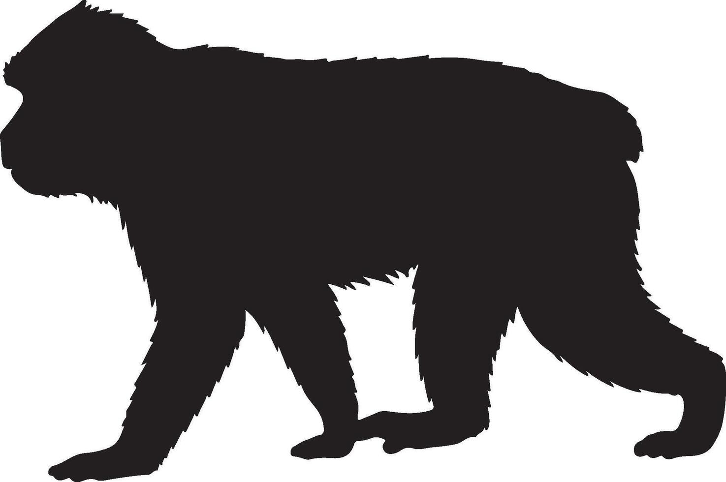Formosan Rock Macaque solid black silhouette vector