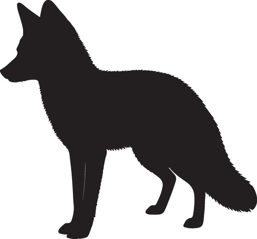 Darwins Fox solid black silhouette vector