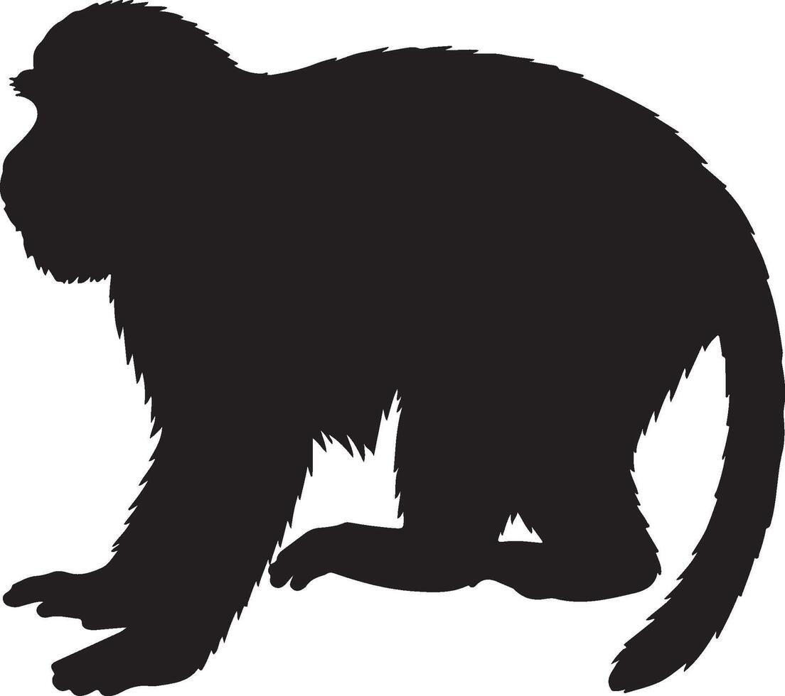 De Brazzas Monkey solid black silhouette vector