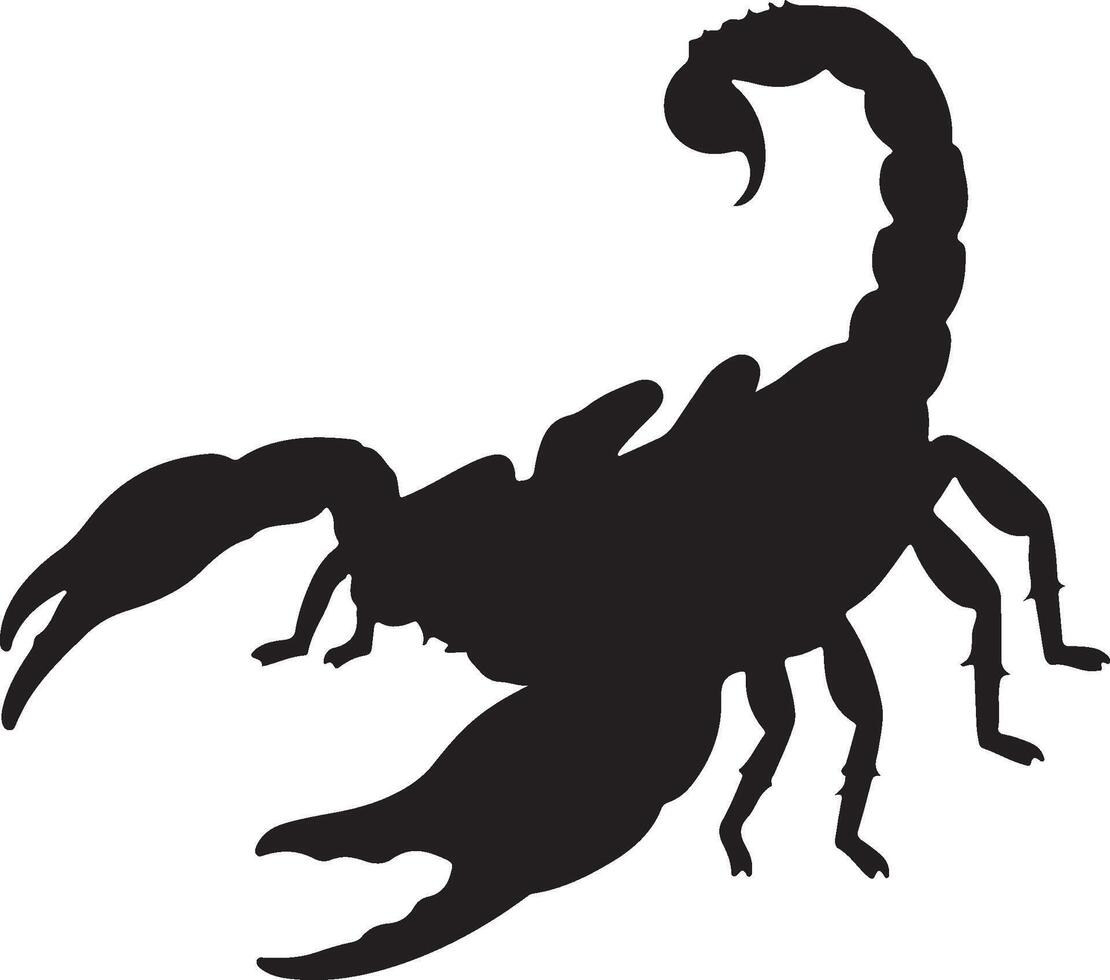 Emperor Scorpion solid black silhouette vector