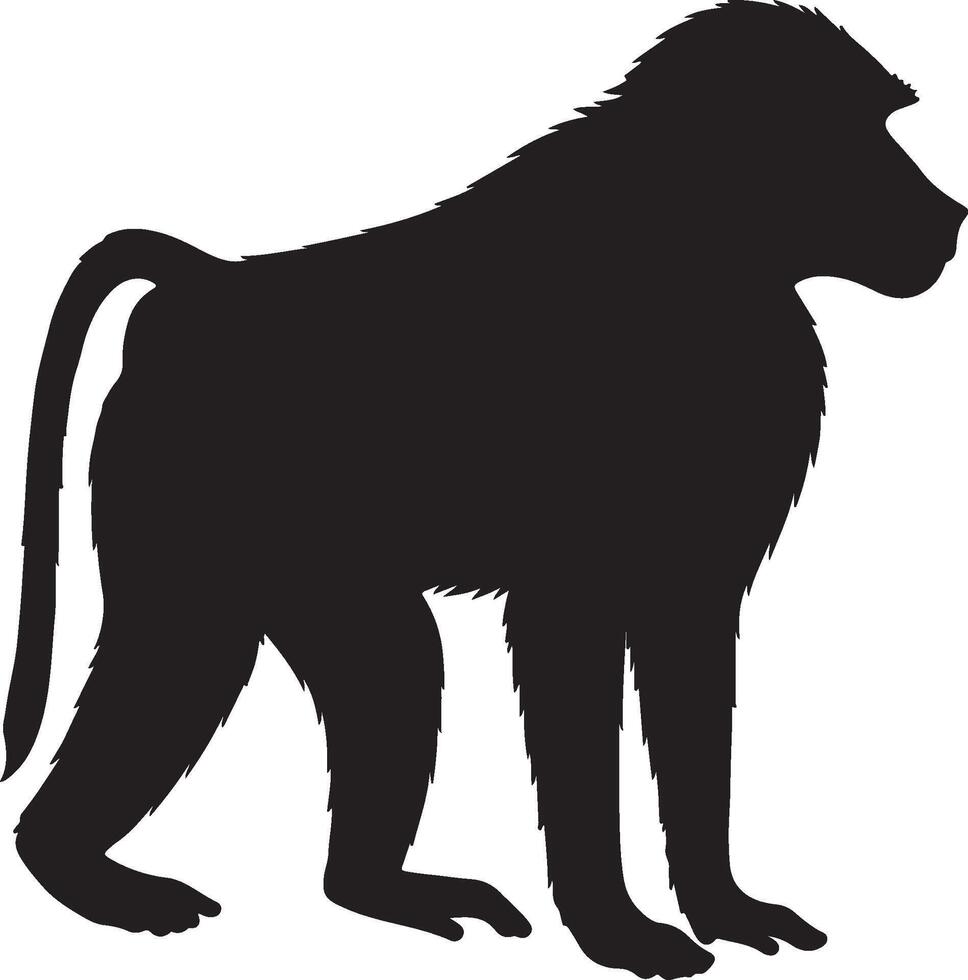 Chacma Baboon solid black silhouette vector