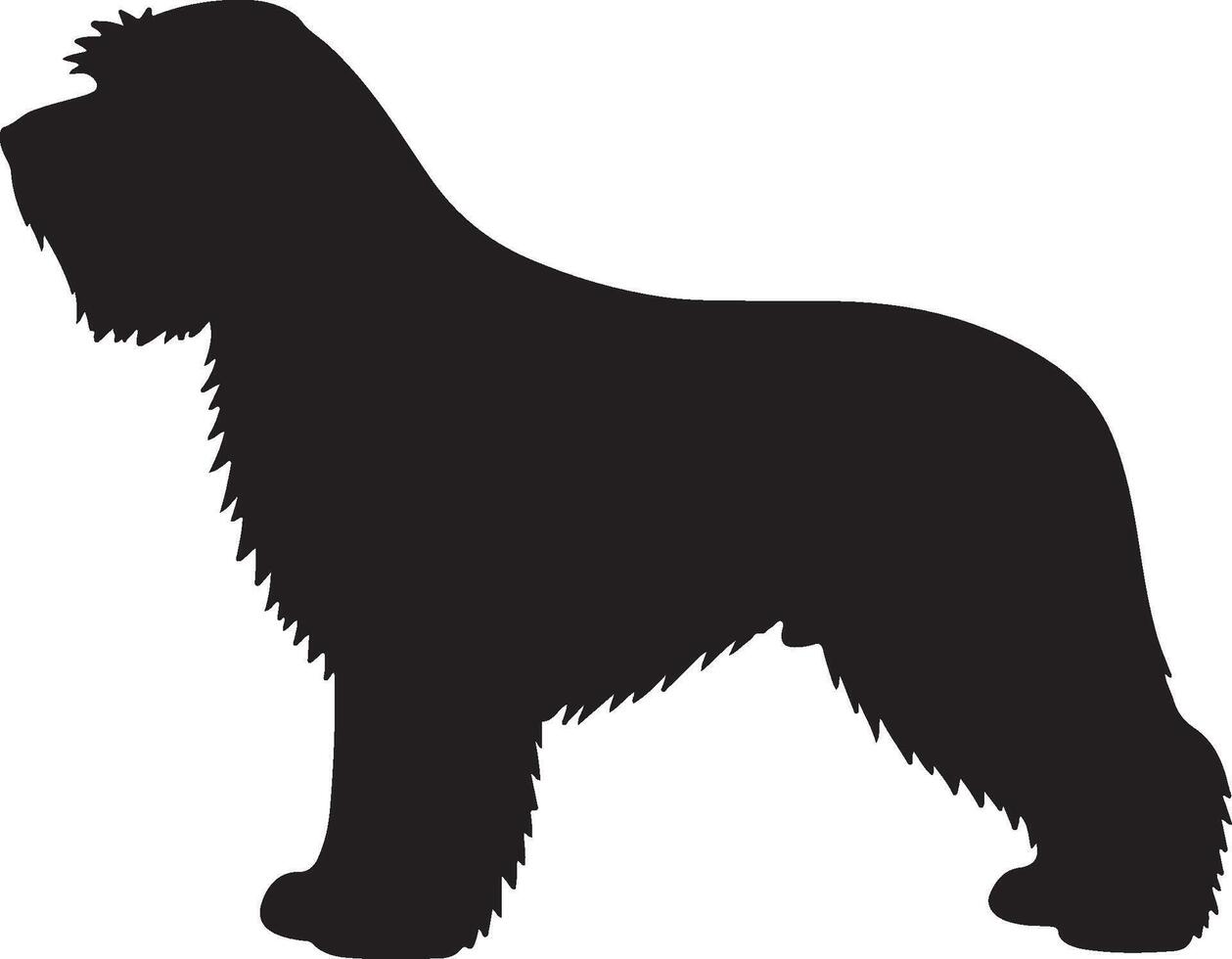 Epagneul Picard solid black silhouette vector