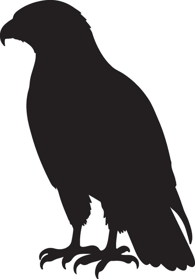Ferruginous Hawk solid black silhouette vector