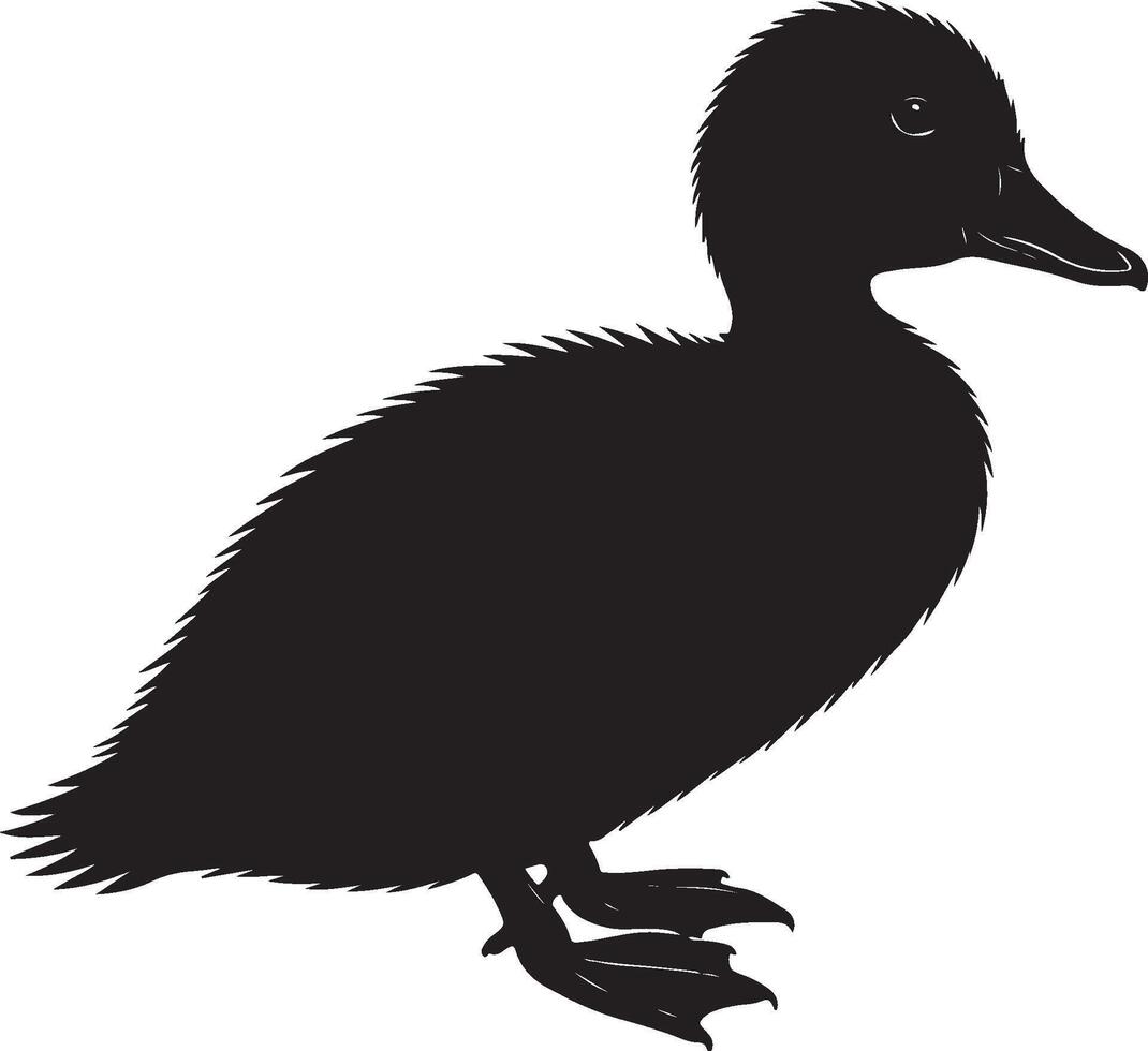 Duckling solid black silhouette vector