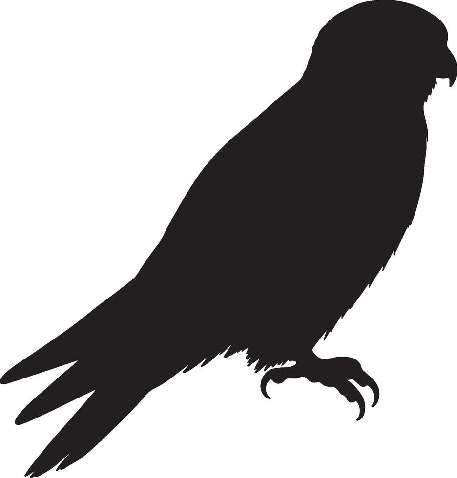 Falconet solid black silhouette vector