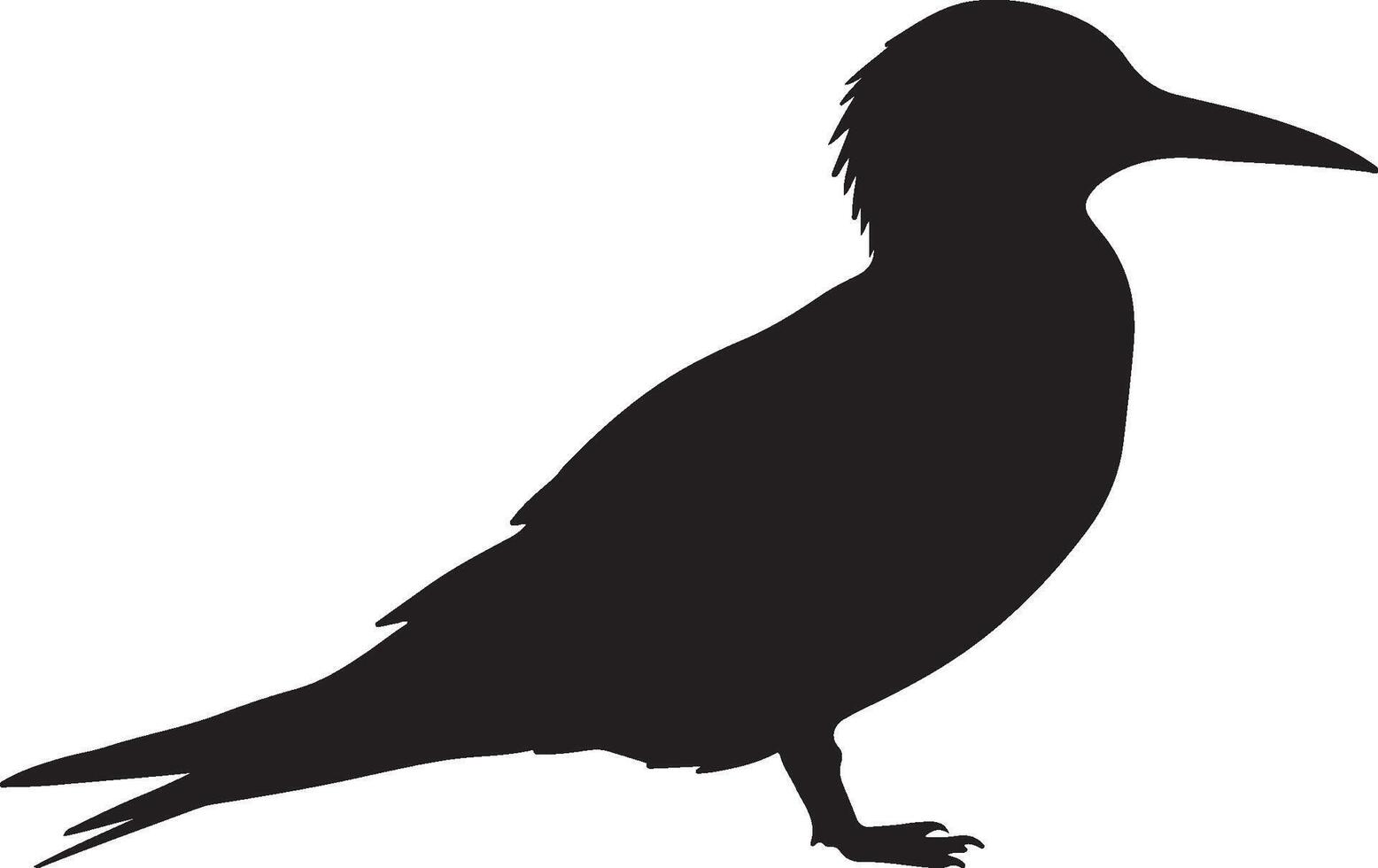 Elegant Tern solid black silhouette vector