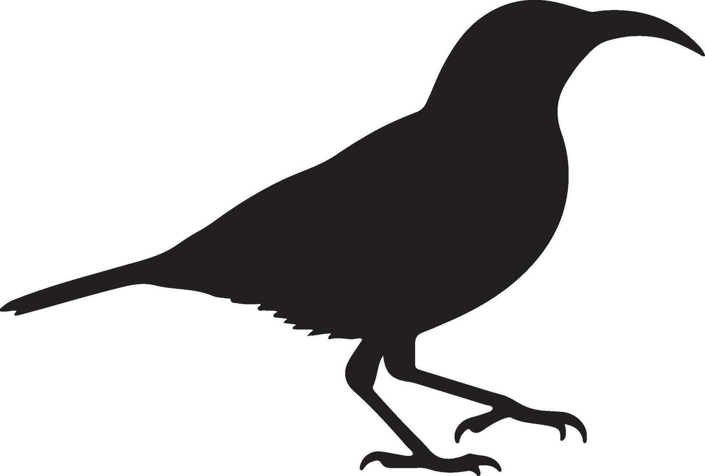 Eastern Spinebill solid black silhouette vector