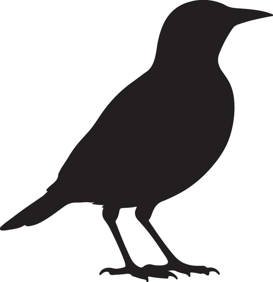 Eastern Meadowlark solid black silhouette vector
