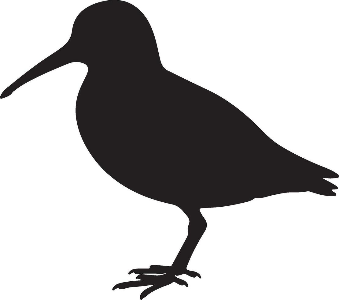 Dunlin solid black silhouette vector