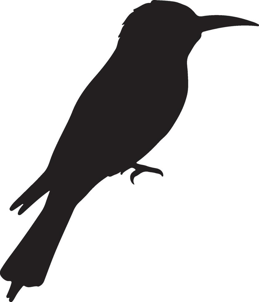 European Bee Eater solid black silhouette vector