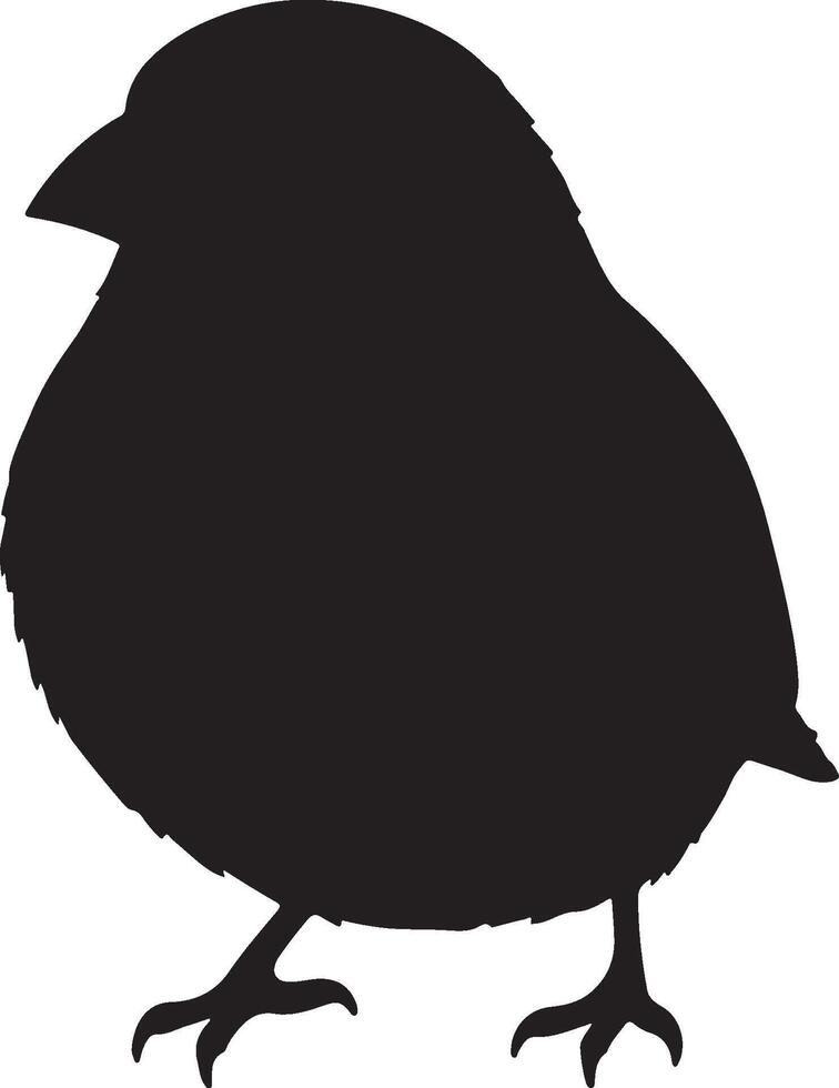 Finch solid black silhouette vector