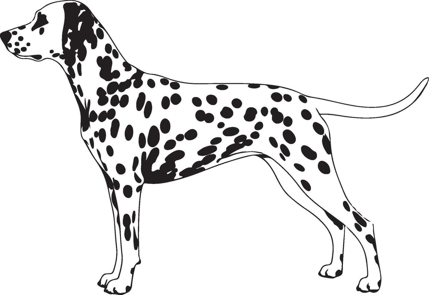 Dalmatian solid black silhouette vector