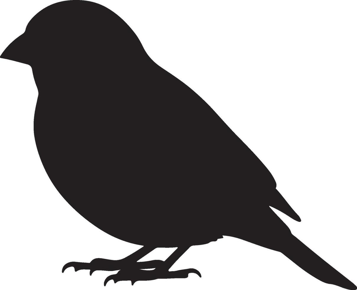 Finch Small solid black silhouette vector