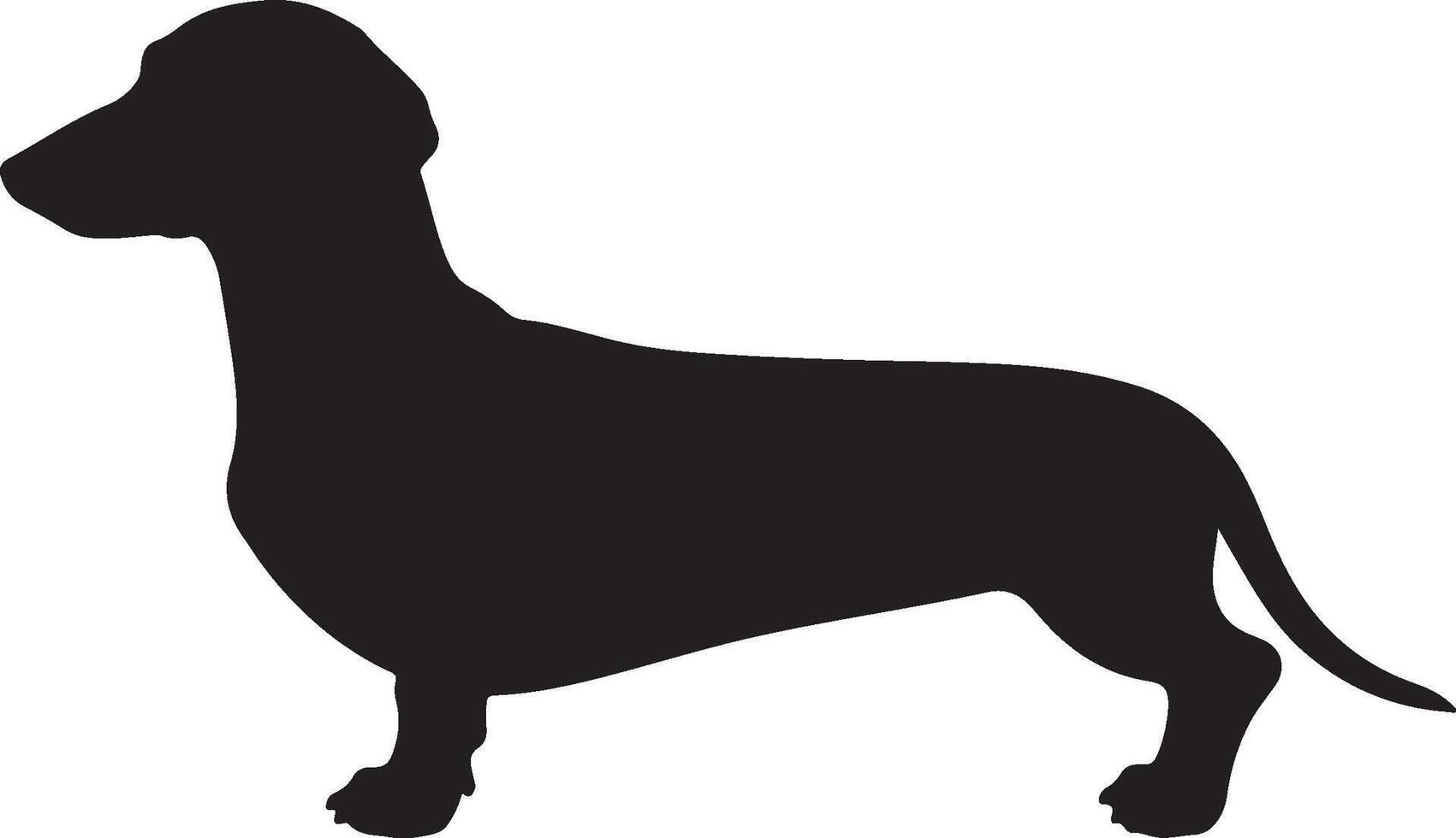Dapple Dachshund solid black silhouette vector