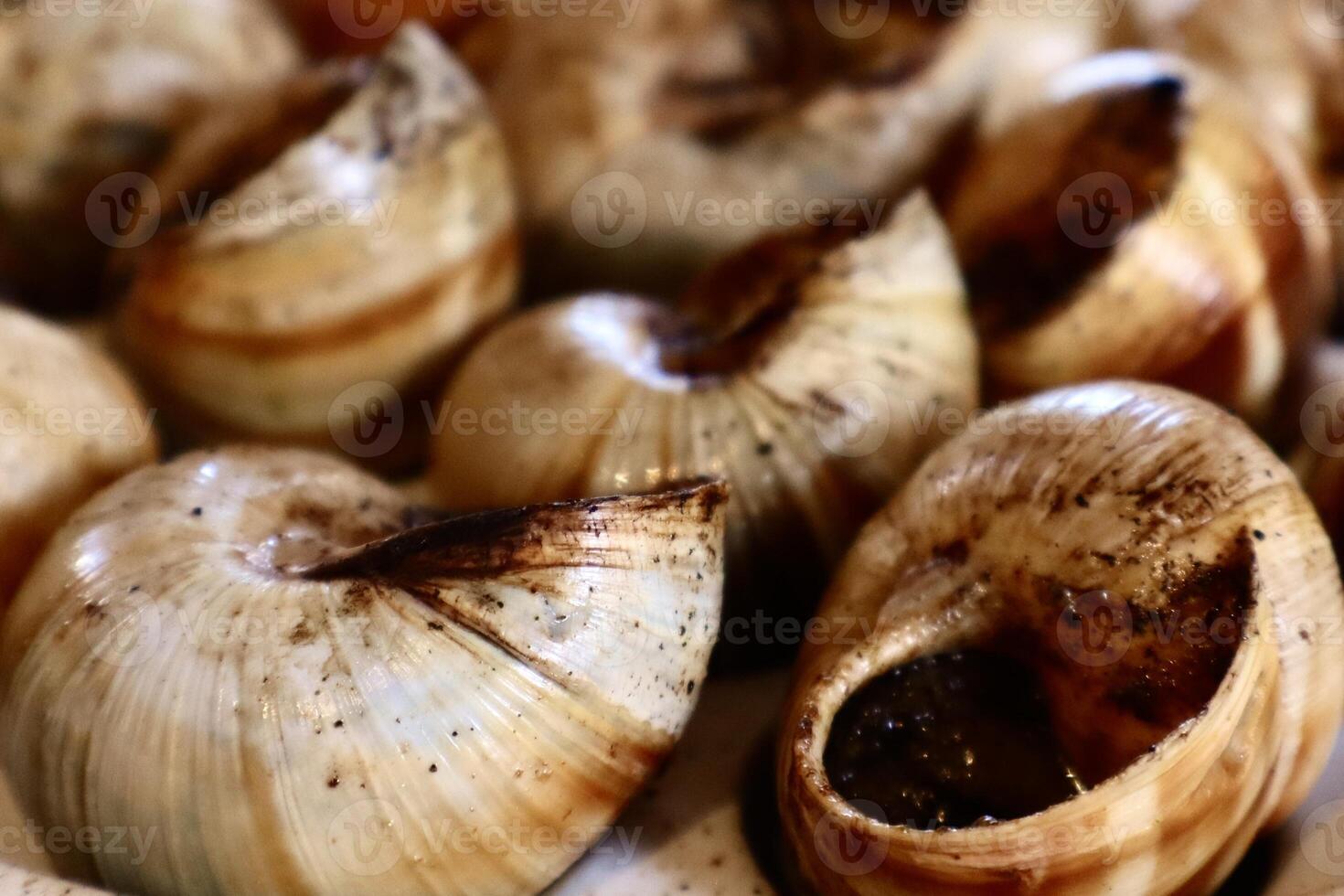 Close-up of cooked escargot arranged in a tray. The classic French delicacy features snails in shells with a rich herb butter sauce, ready to be served. photo