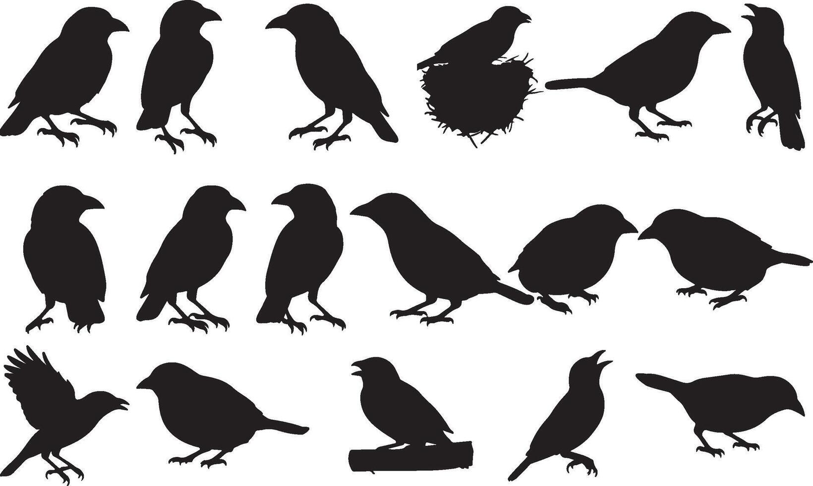 Birds silhouettes illustration vector